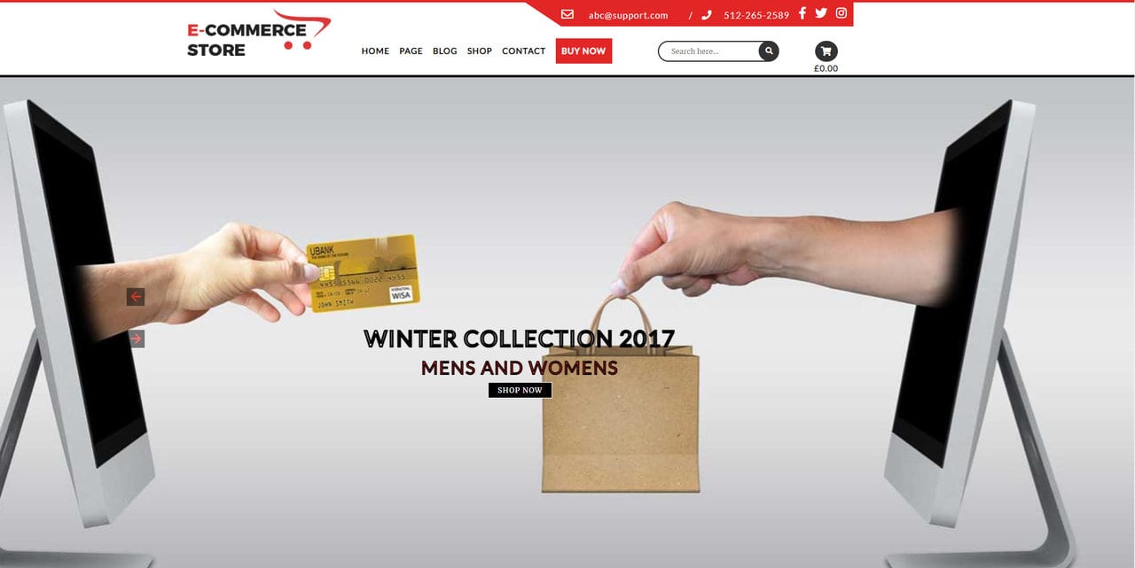 Ecommerce WordPress Theme