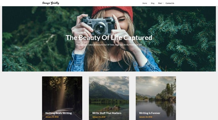 Image Gridly is a free WordPress theme with photos portfolios, and blog websites.