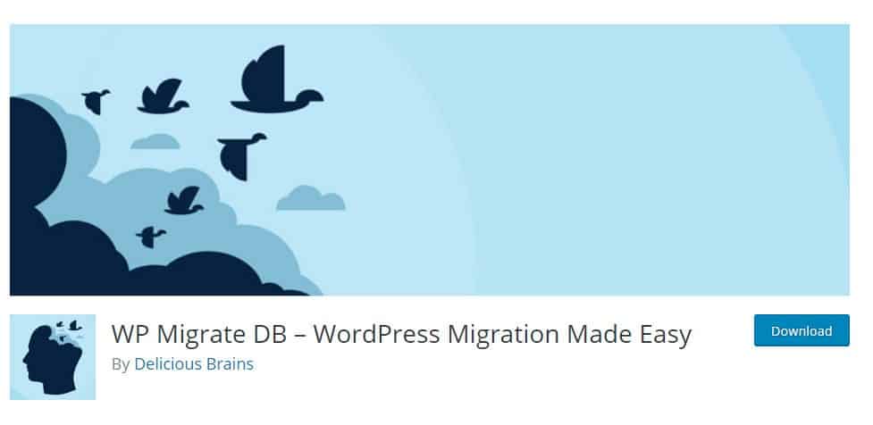 WP Migrate DB