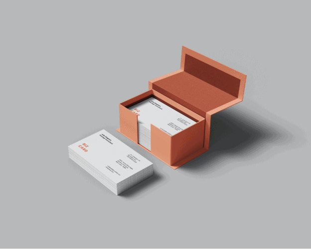 Business Card Mockup Templates Vol.2