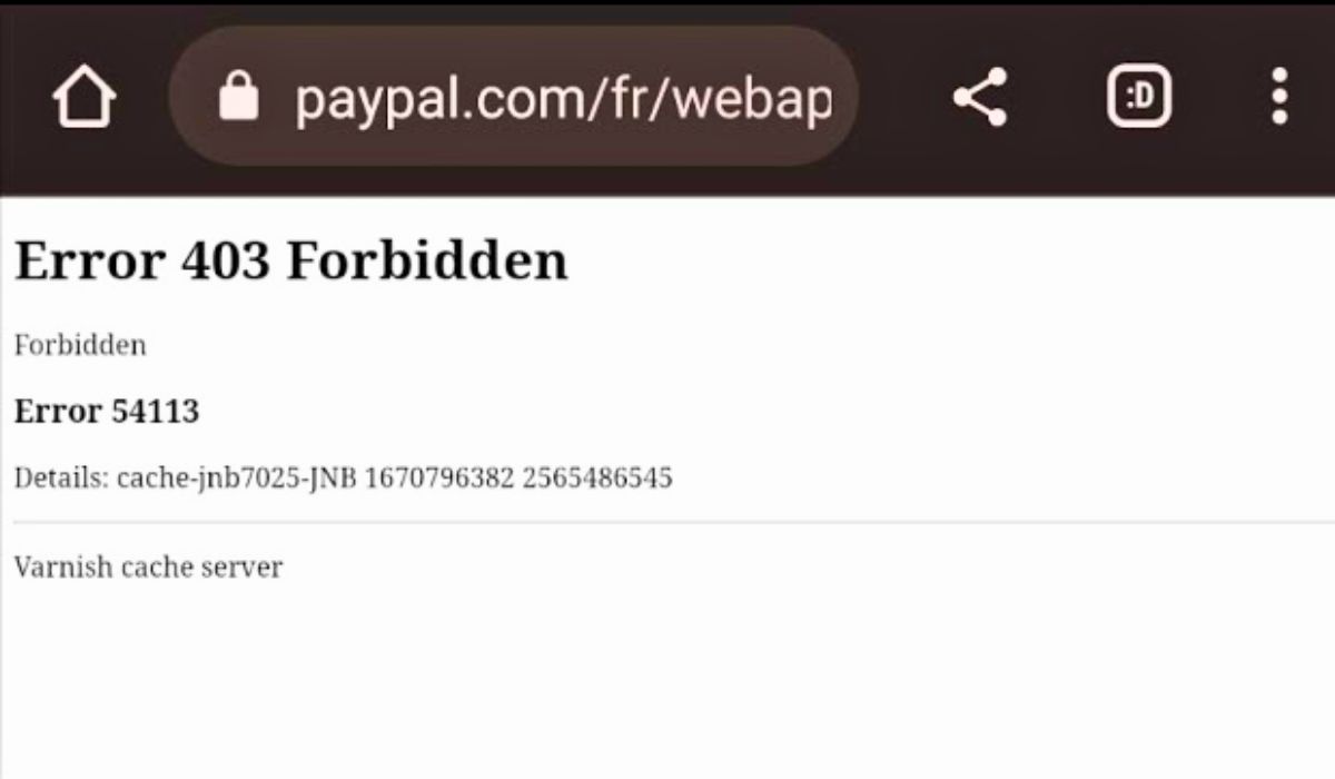 Causes of PayPal Error 54113